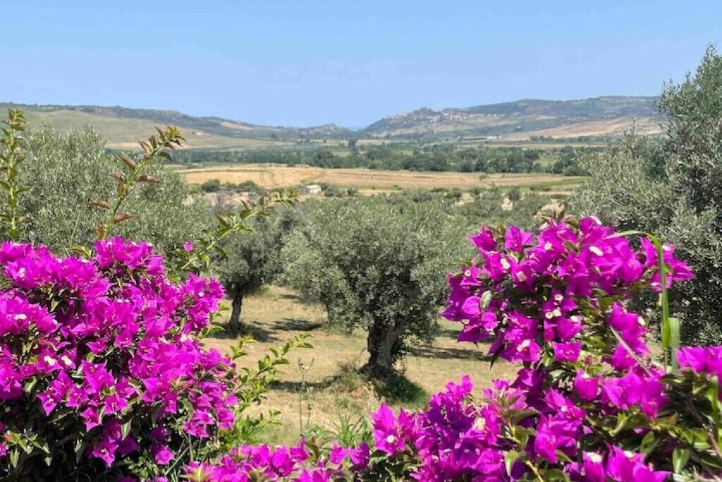 Photo of Outdoor in Amaroni