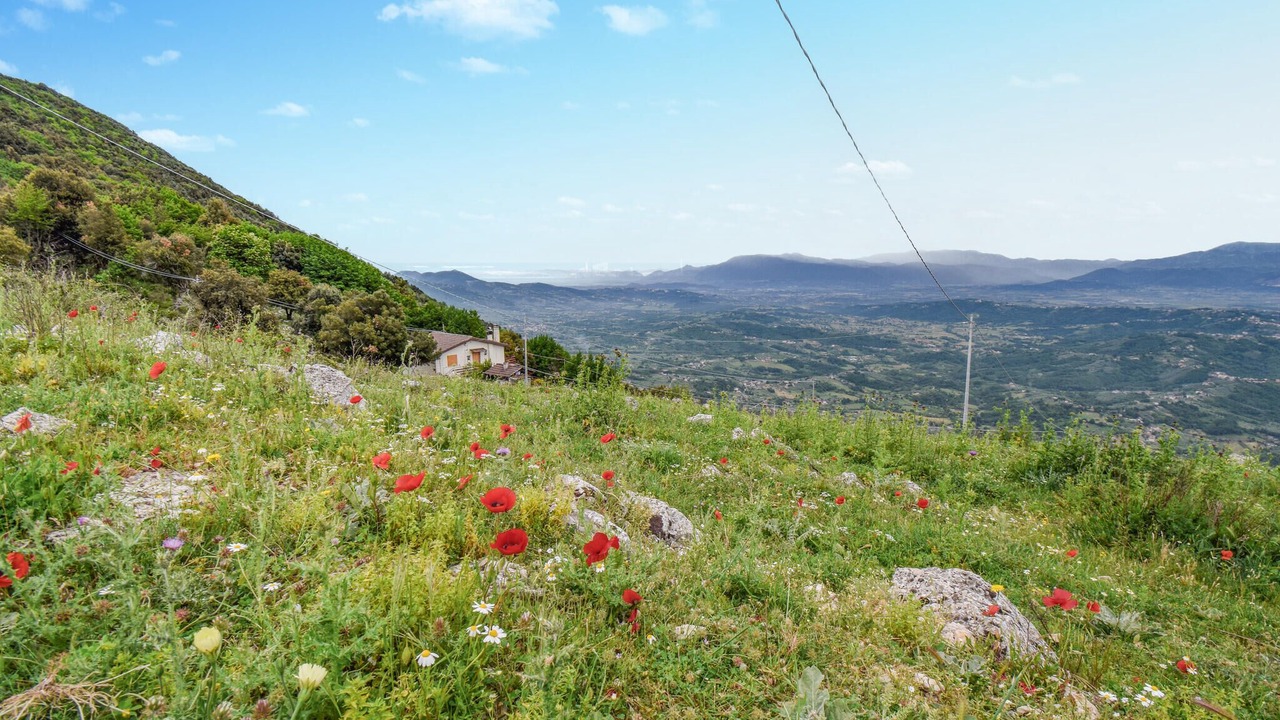 Photo of Others in Serrone