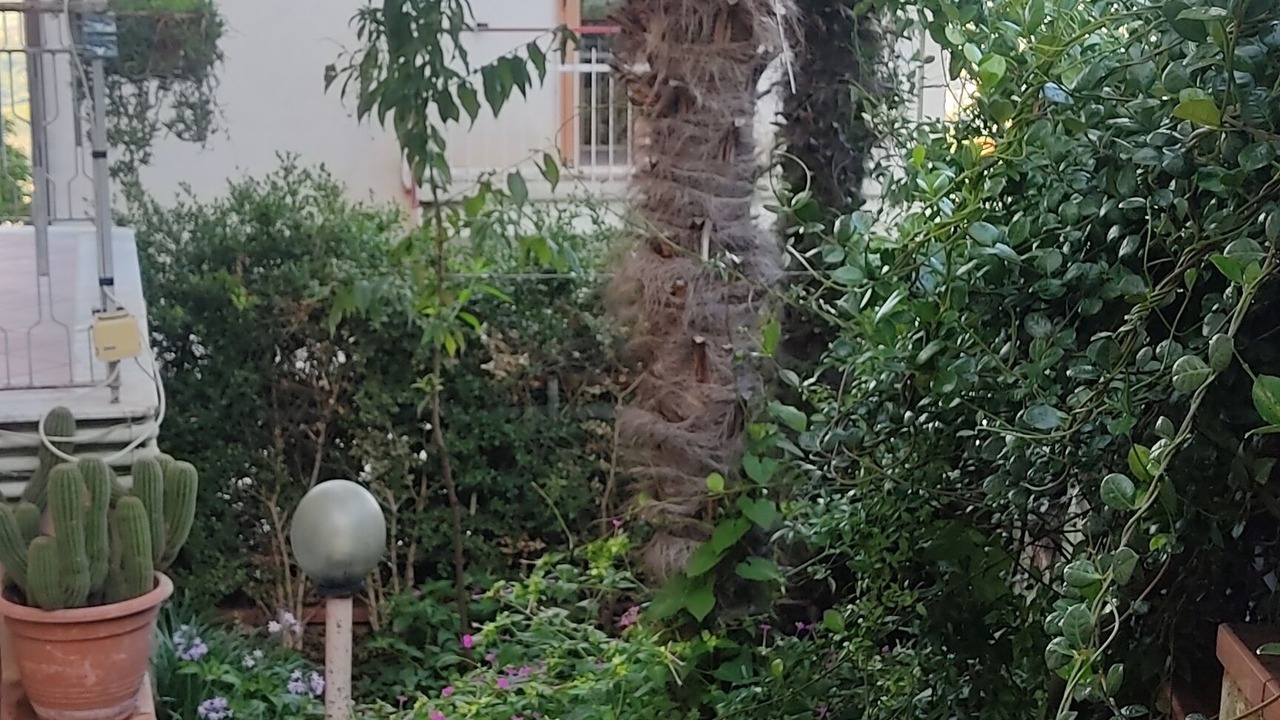 Photo of Outdoor in Paupisi