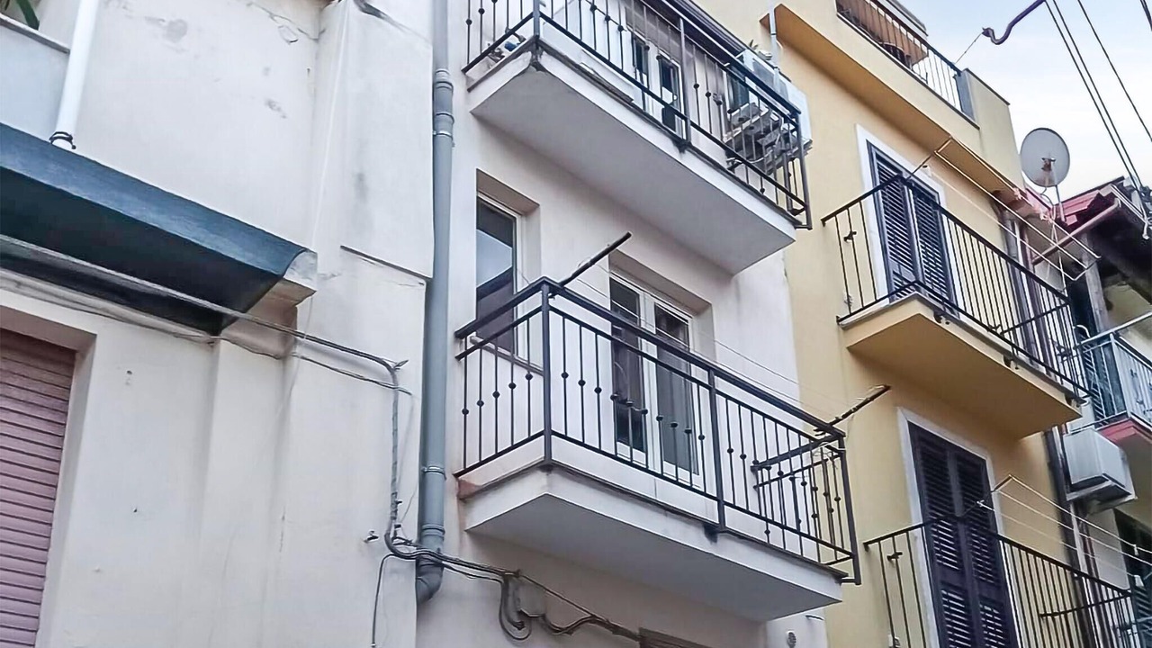 Photo of Others in Scilla