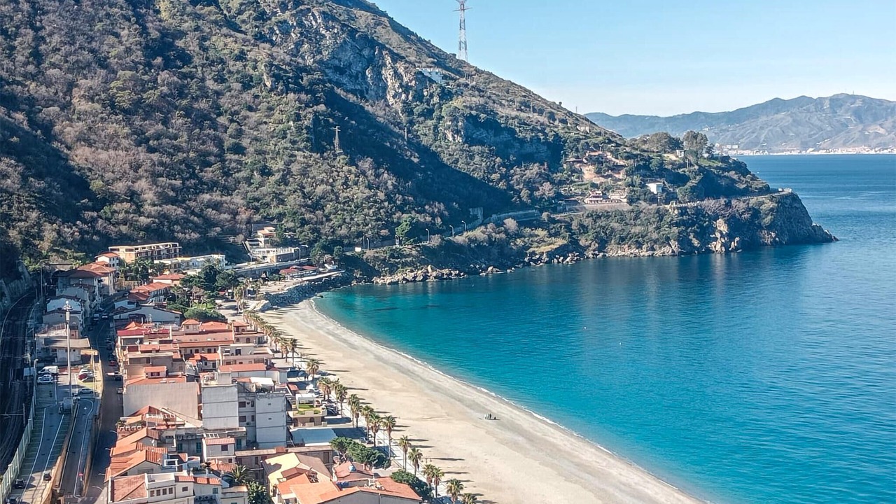 Photo of Others in Scilla
