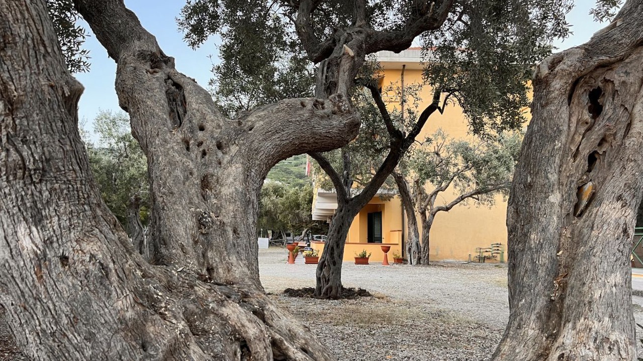 Photo of Outdoor in Fuscaldo