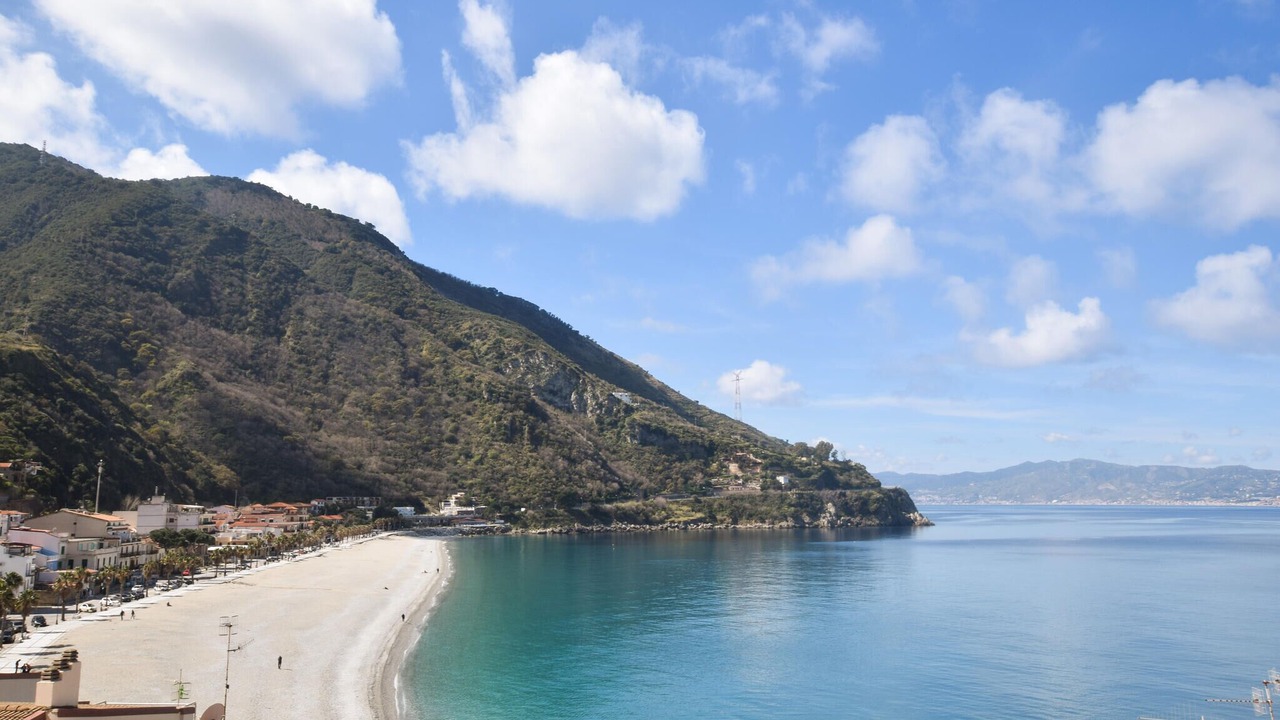Photo of Others in Scilla