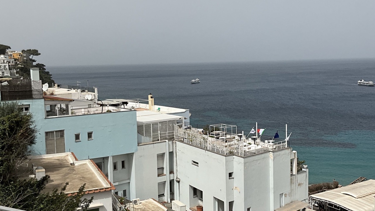 Photo of Outdoor in Licola