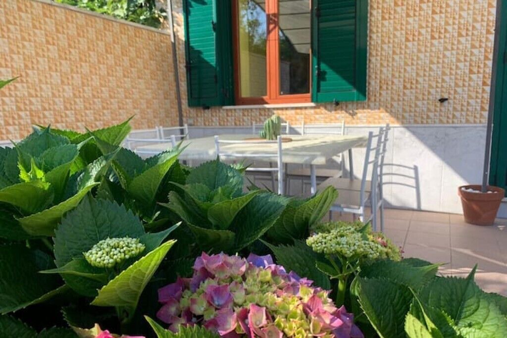 Photo of Outdoor in Procida