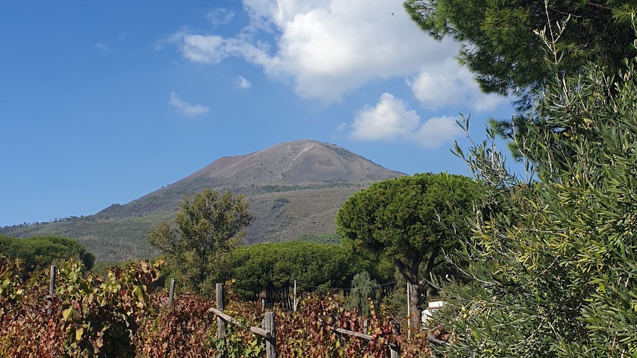 Photo of Outdoor in Boscotrecase