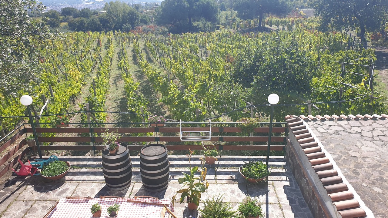 Photo of Outdoor in Boscotrecase