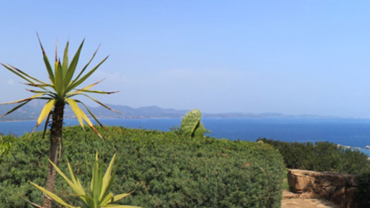 Photo of Others in Li Cuncheddi