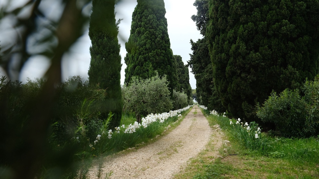 Photo of Outdoor in San Martino in Pensilis