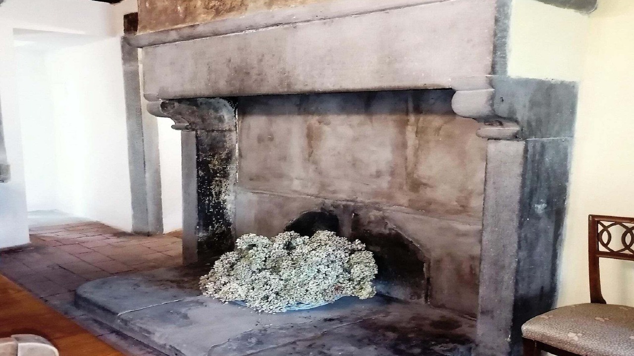 Photo of Livingroom in San Godenzo