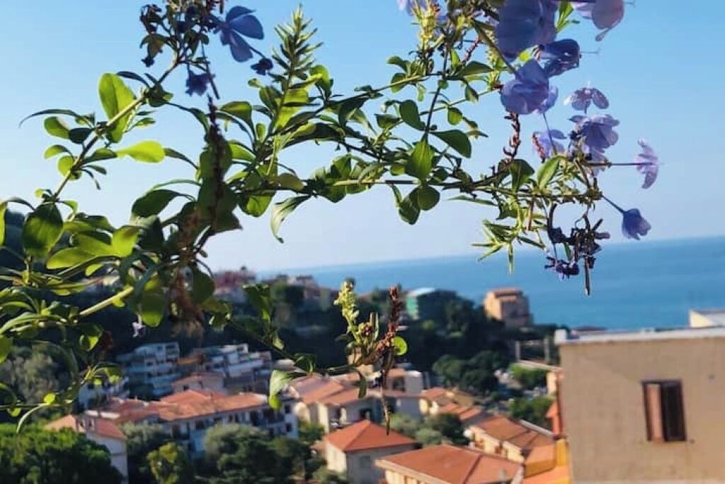 Photo of Outdoor in Bonifati