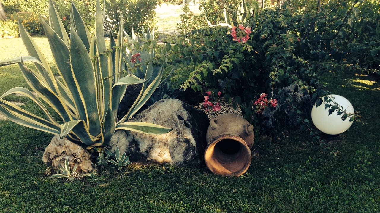 Photo of Outdoor in Cirella
