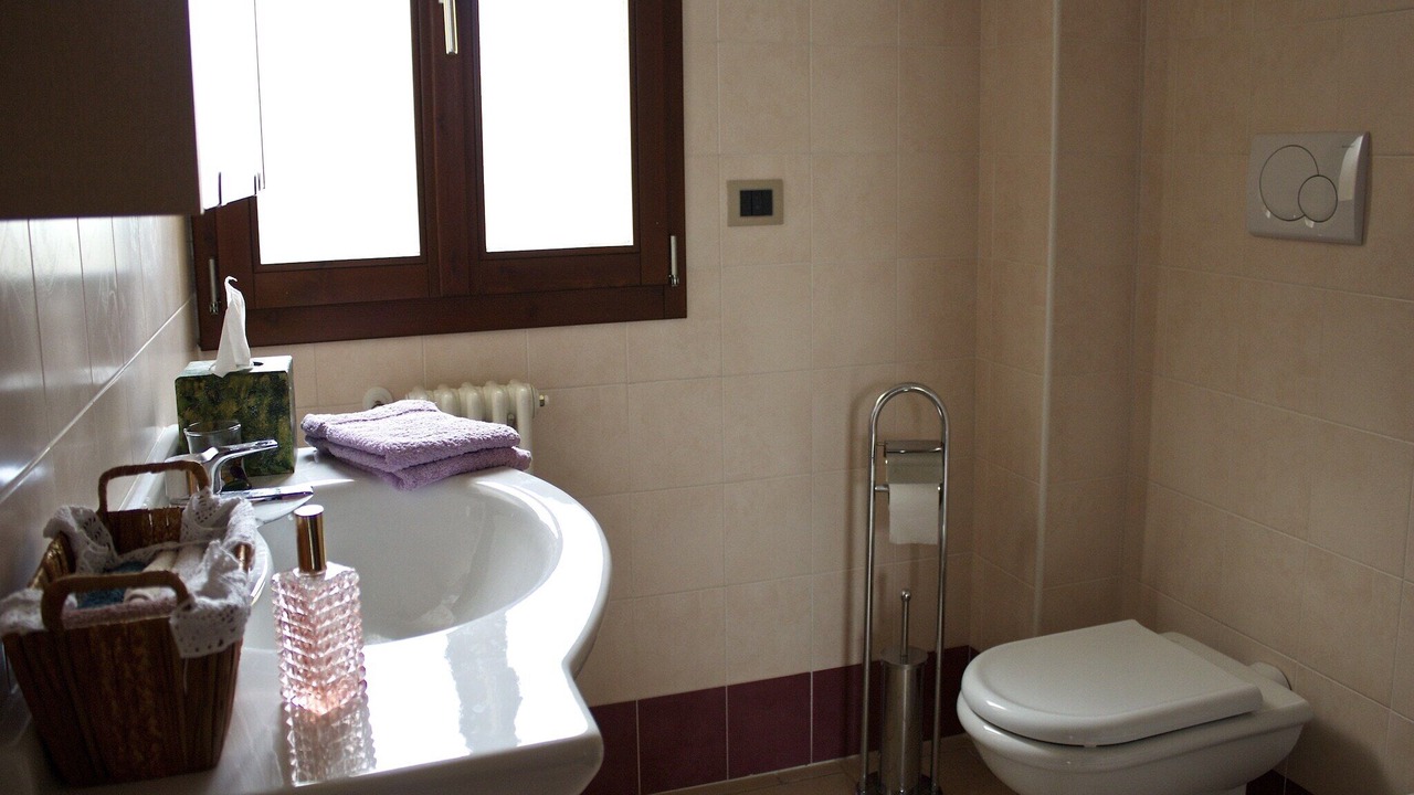 Photo of Bathroom in Casalfiumanese