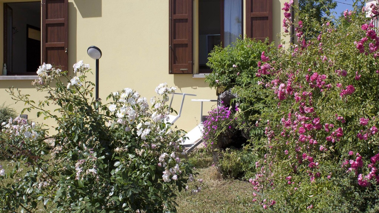 Photo of Outdoor in Casalfiumanese
