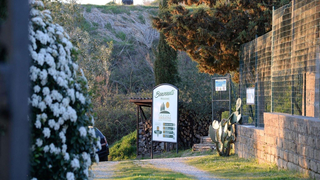 Photo of Others in Celle sul Rigo