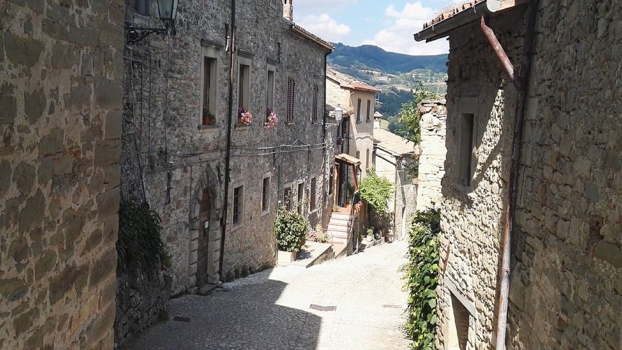 Photo of Others in Pennabilli