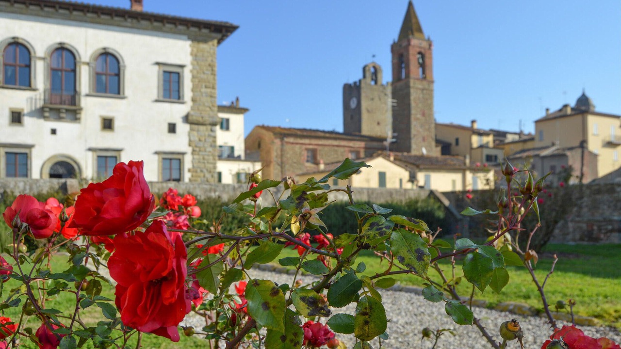 Photo of Others in Monte San Savino