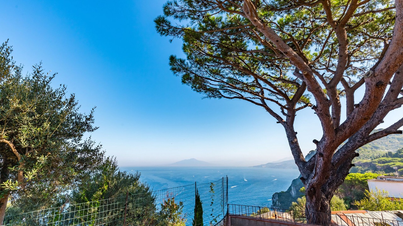 Photo of Others in Tiberio