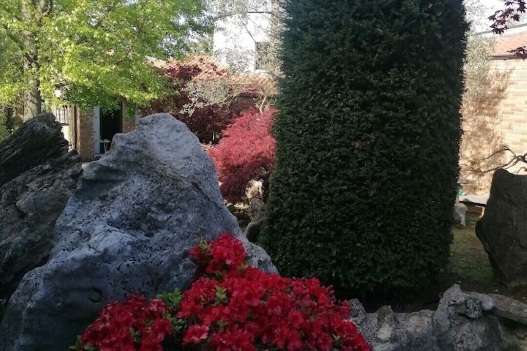 Photo of Outdoor in Artena