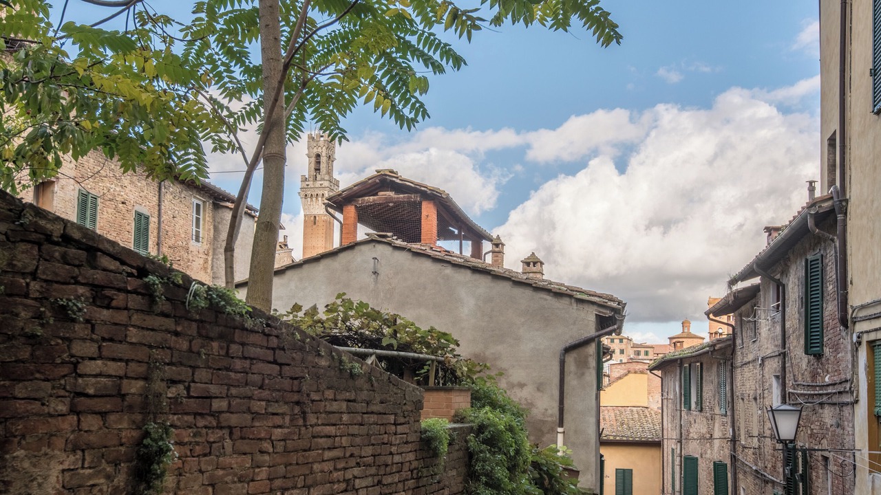 Photo of Others in Siena Historical Center