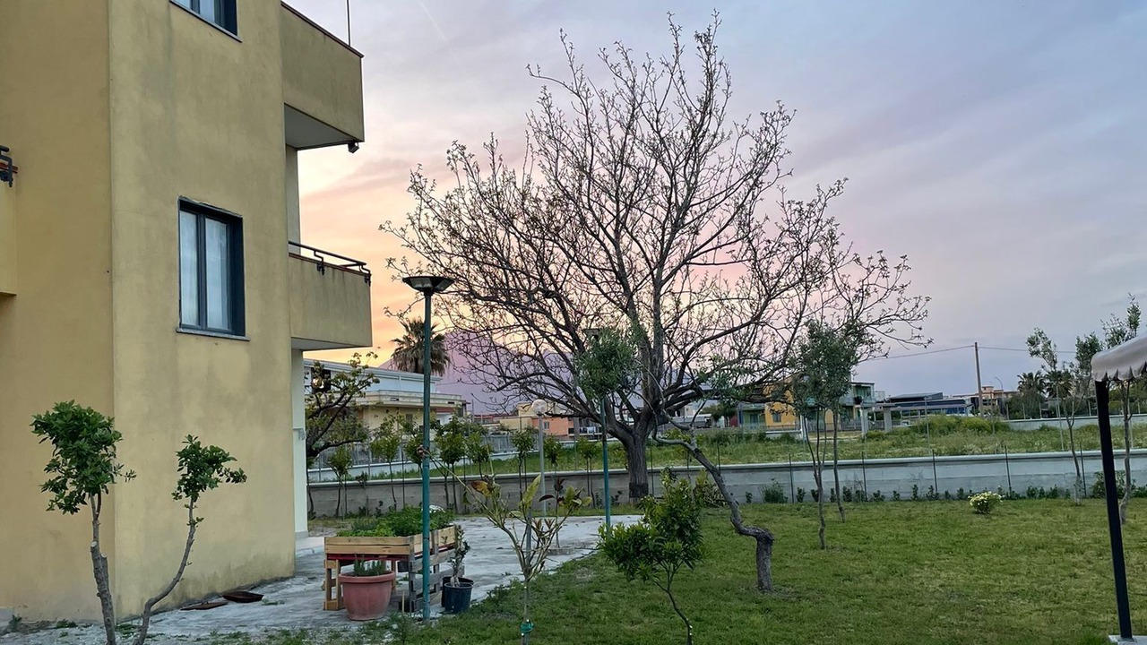 Photo of Outdoor in Pompei