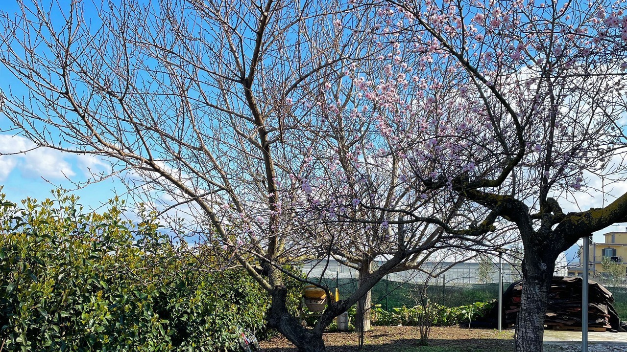 Photo of Outdoor in Pompei
