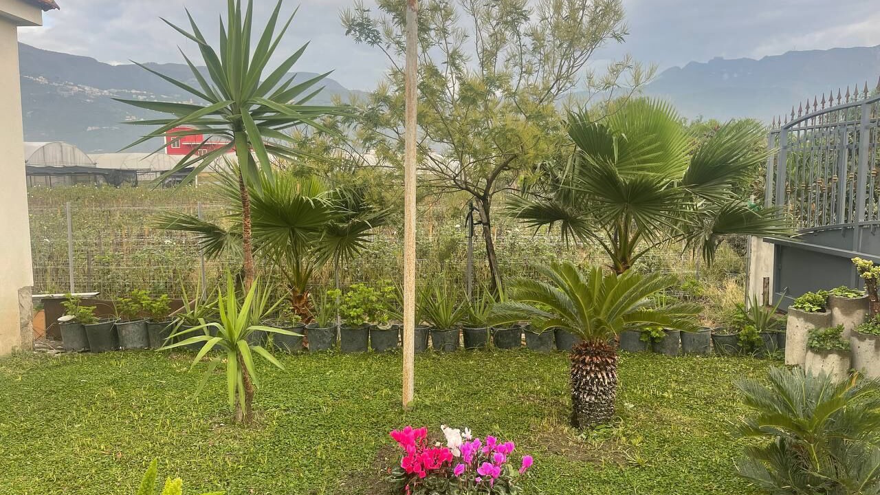 Photo of Outdoor in Pompei