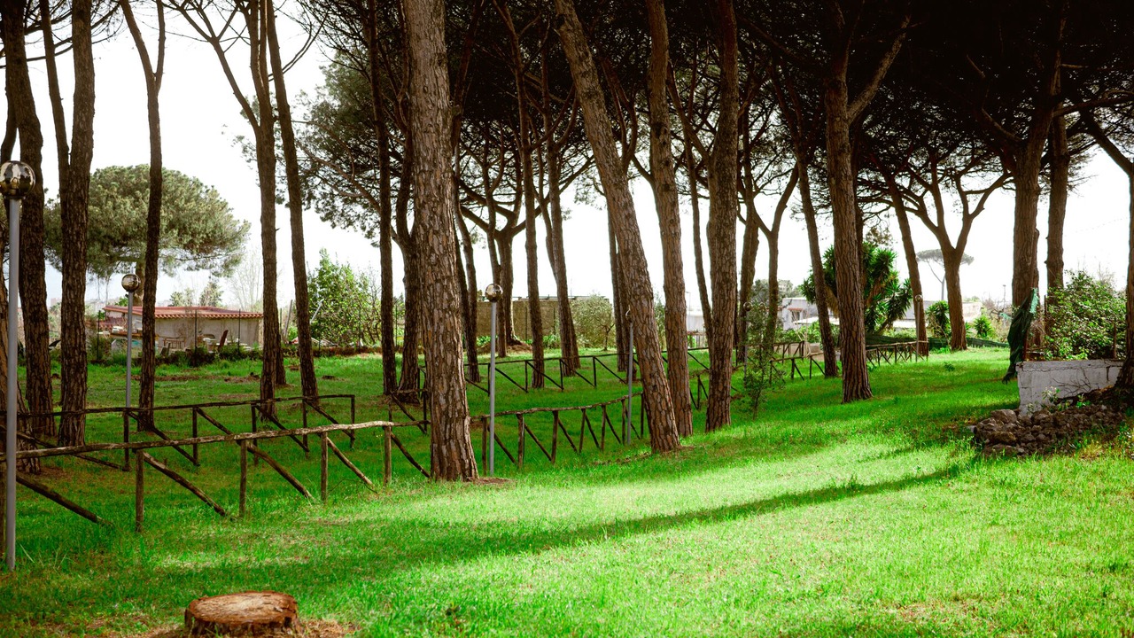 Photo of Outdoor in Boscotrecase