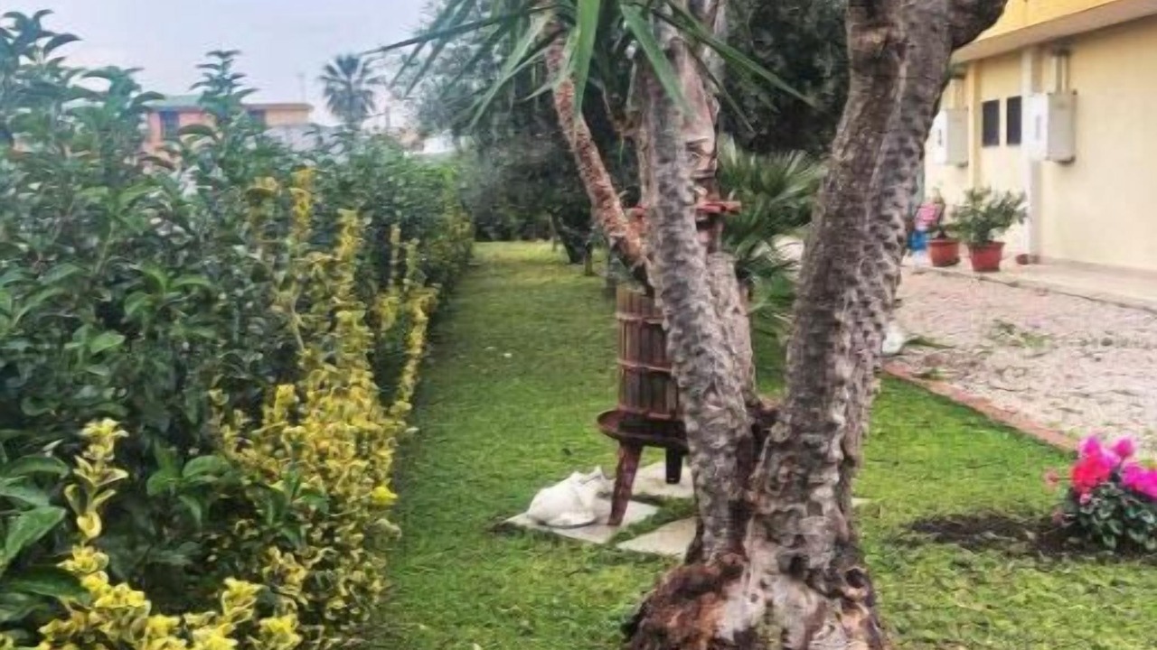 Photo of Outdoor in Santa Maria la Carita