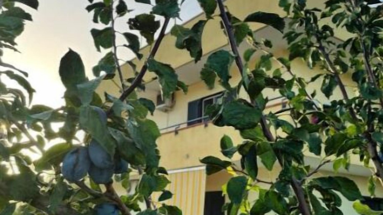 Photo of Outdoor in Santa Maria la Carita