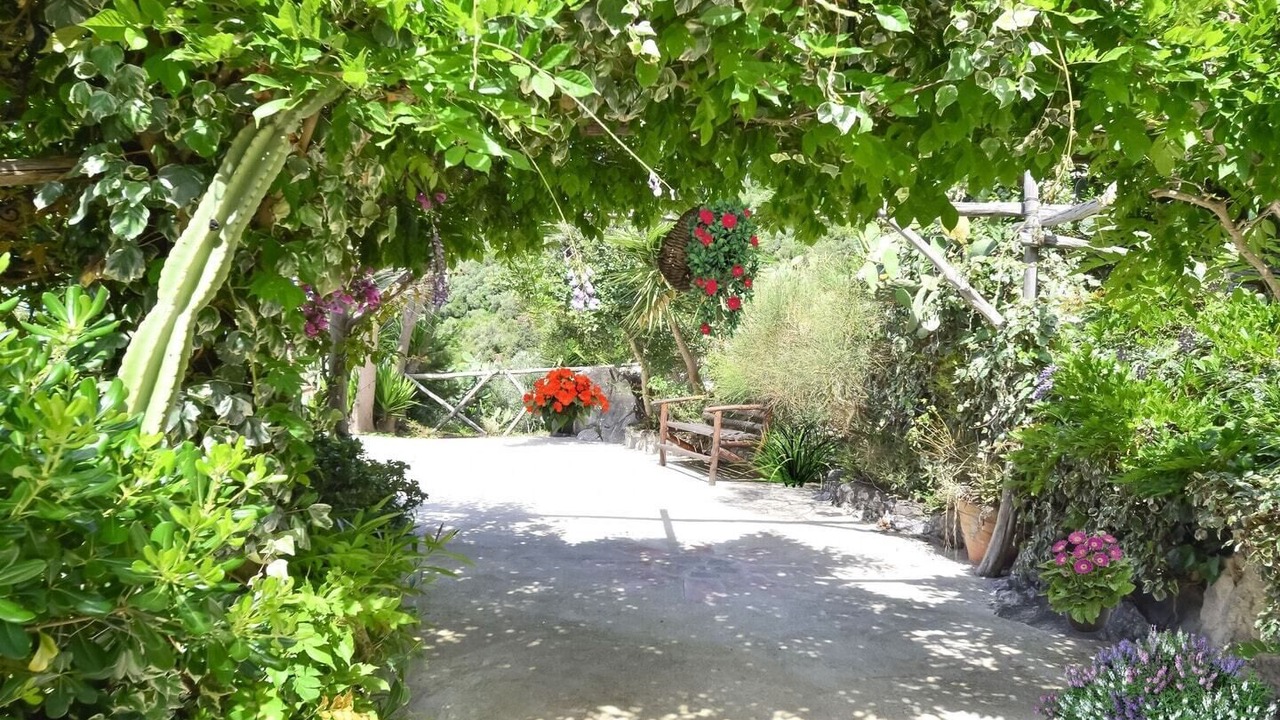 Photo of Outdoor in Termini