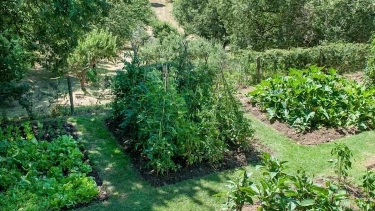 Photo of Outdoor in Sarteano