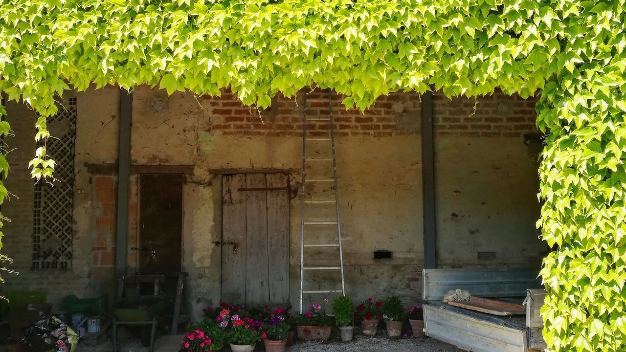 Photo of Outdoor in Torgiano