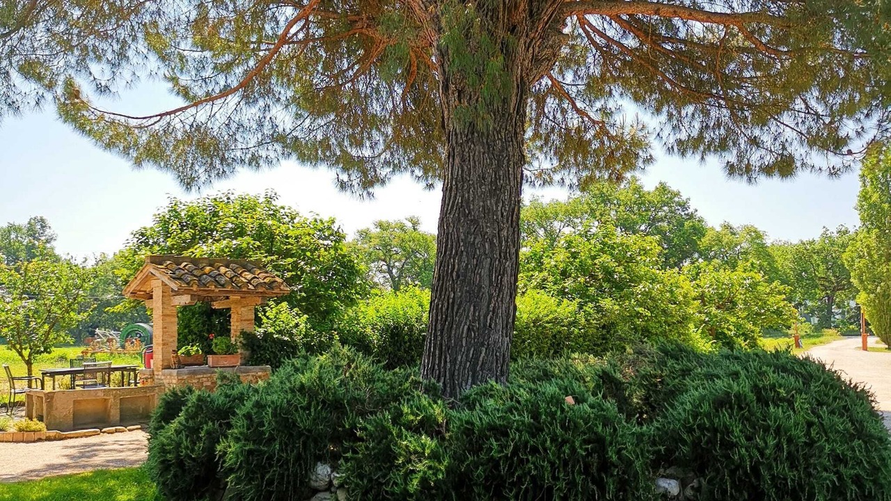 Photo of Outdoor in Torgiano