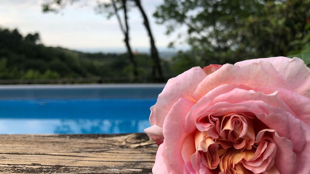 Photo of Outdoor in Montefiore Conca