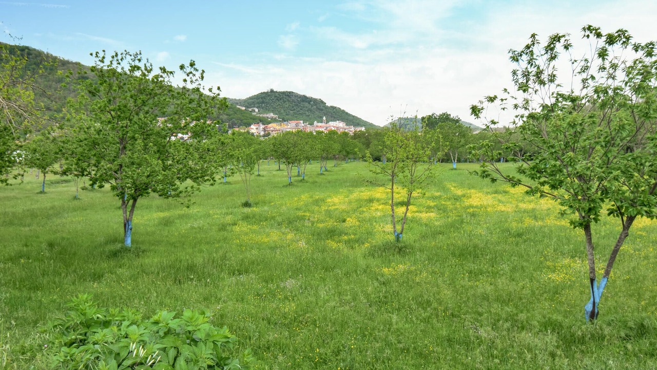 Photo of Bedroom in Roccamonfina