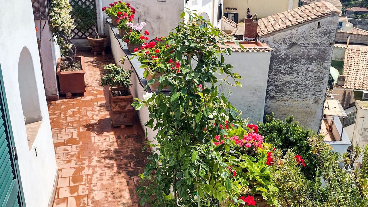 Photo of Outdoor in Albori