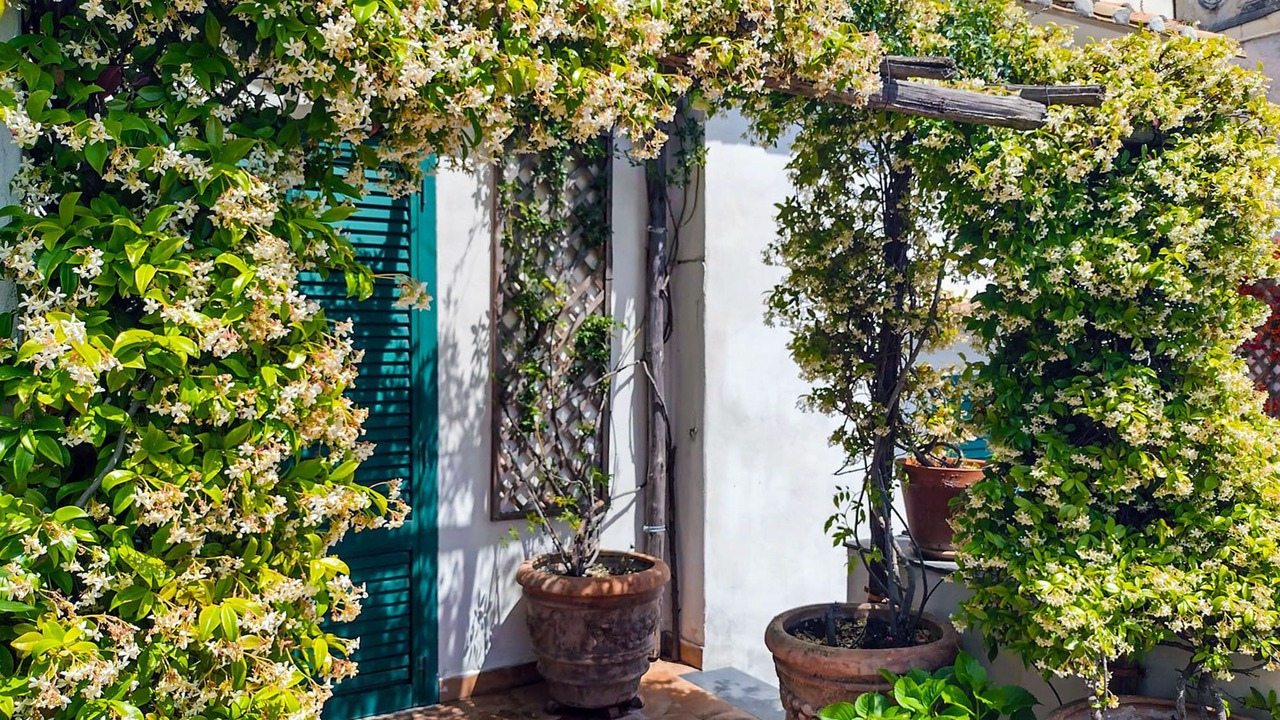 Photo of Outdoor in Albori