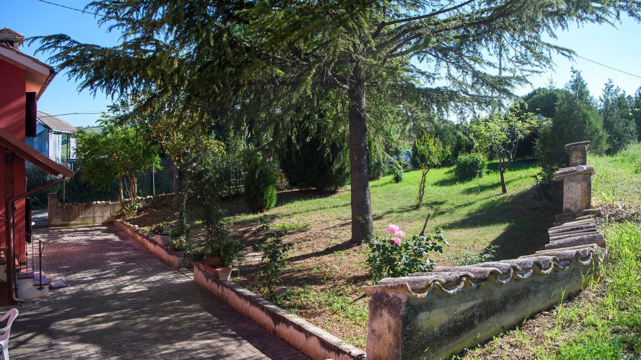 Photo of Others in Bellante