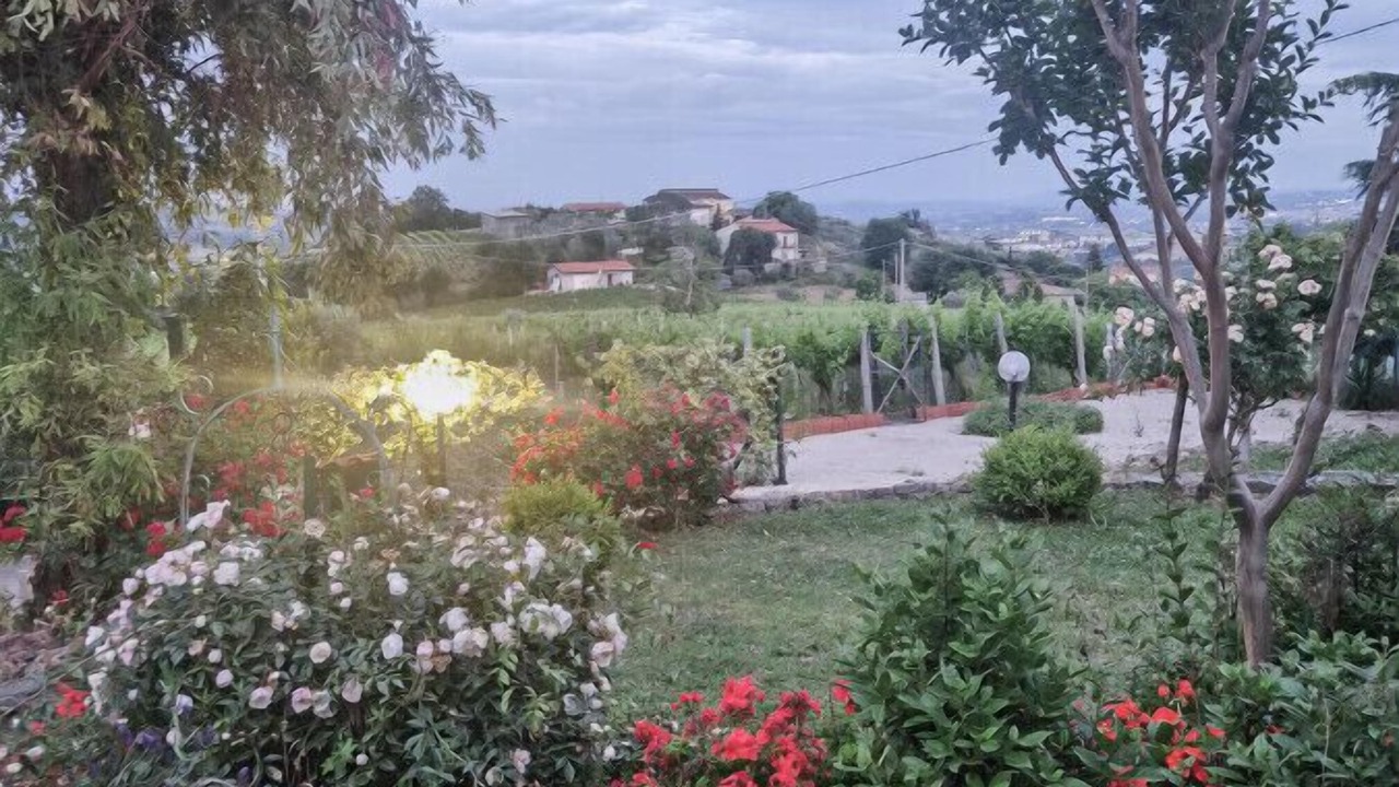Photo of Others in Torrecuso