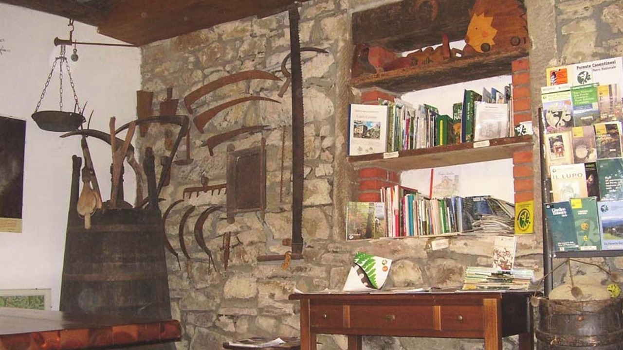 Photo of Outdoor in Moggiana