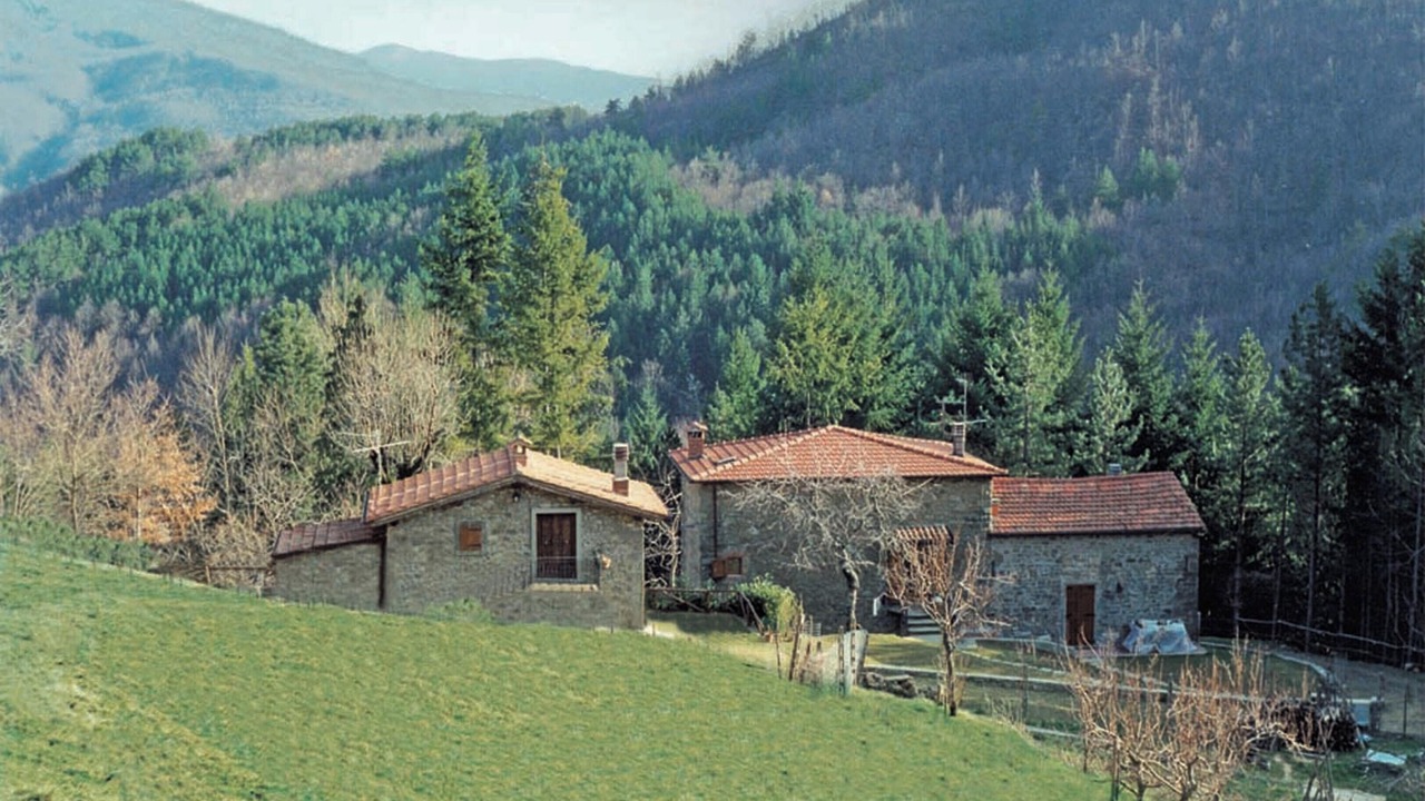 Photo of Others in Moggiana