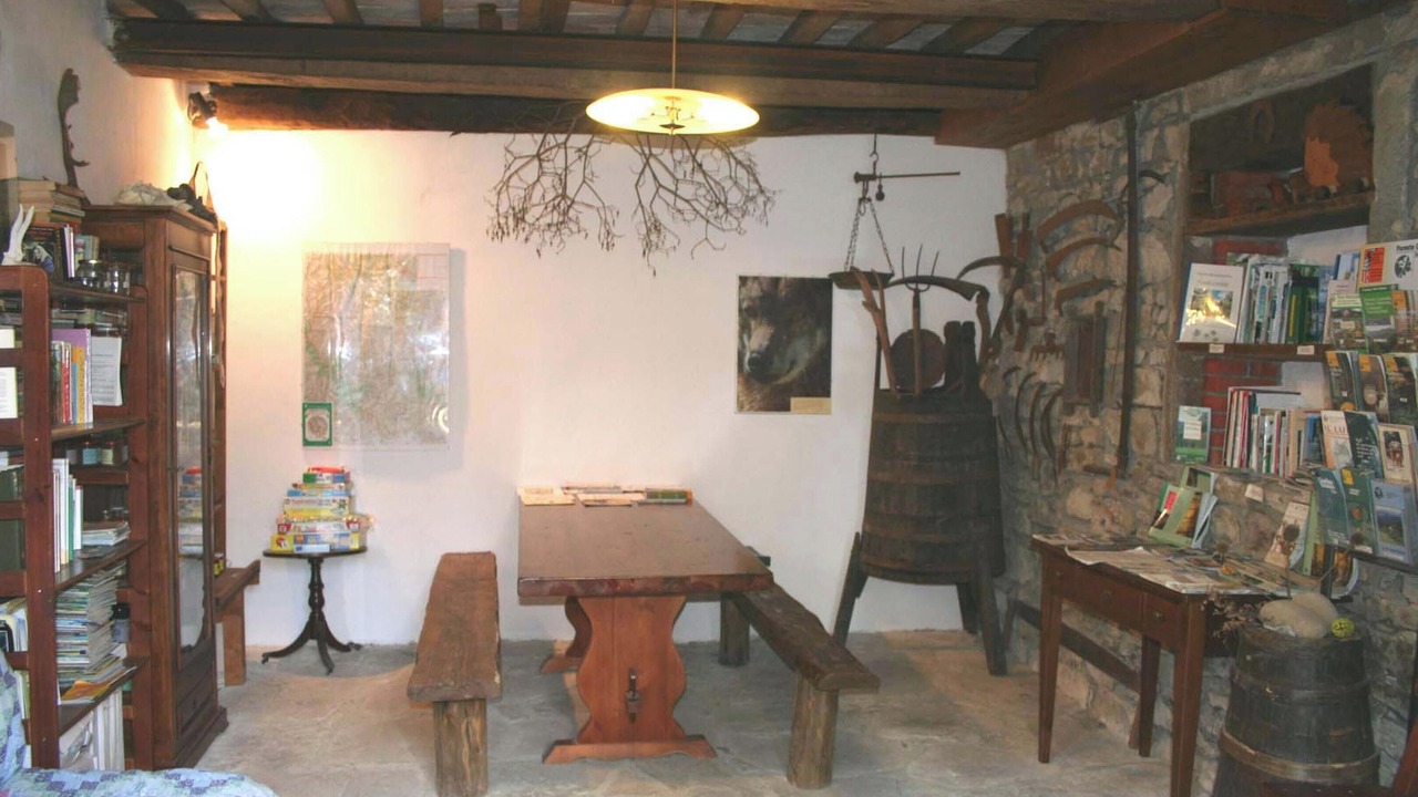 Photo of Outdoor in Moggiana