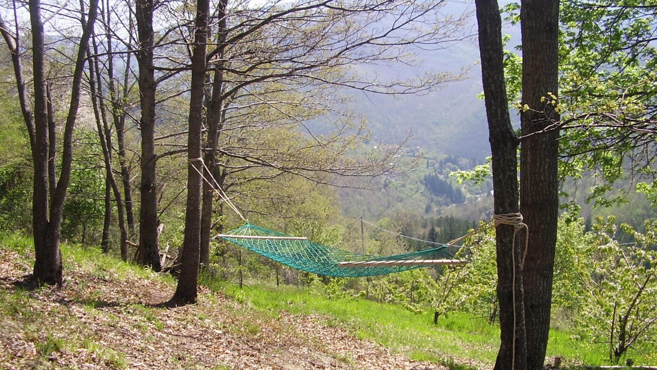 Photo of Outdoor in Moggiana