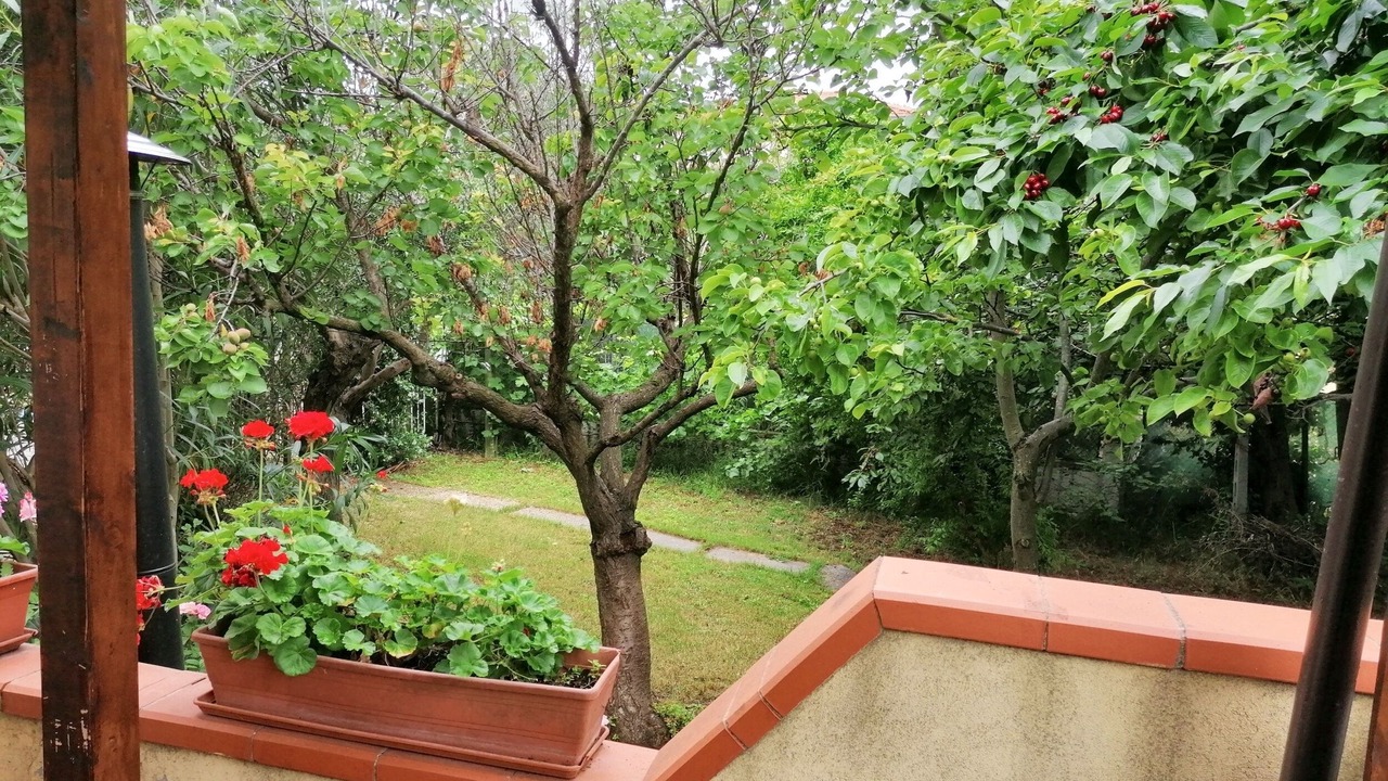 Photo of Outdoor in San Mauro Pascoli