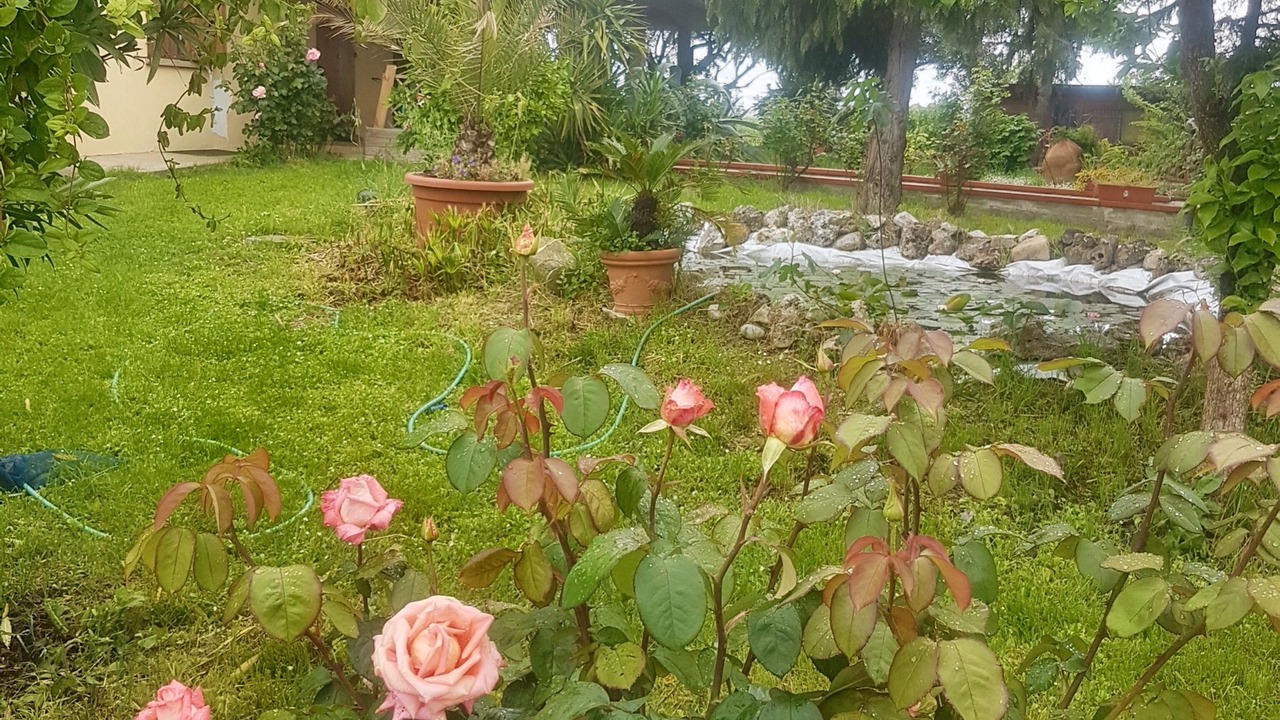 Photo of Outdoor in San Mauro Pascoli