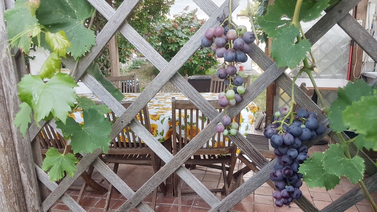 Photo of Outdoor in San Mauro Pascoli