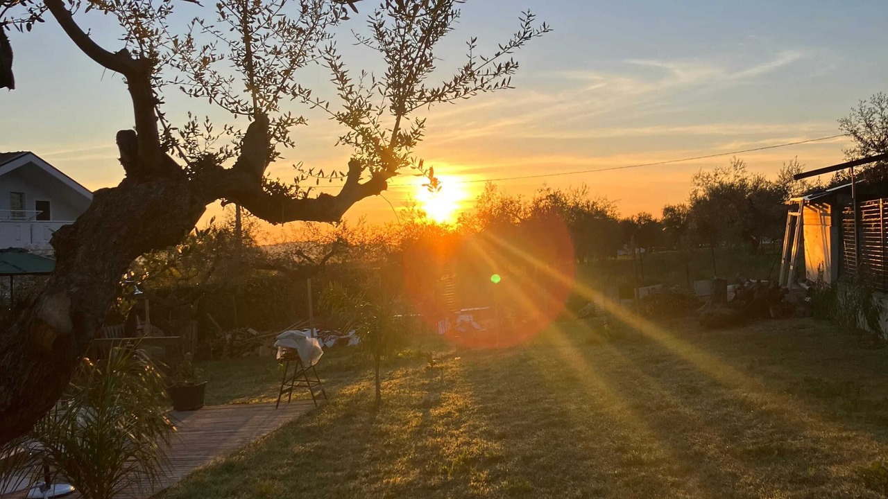 Photo of Outdoor in Collecorvino