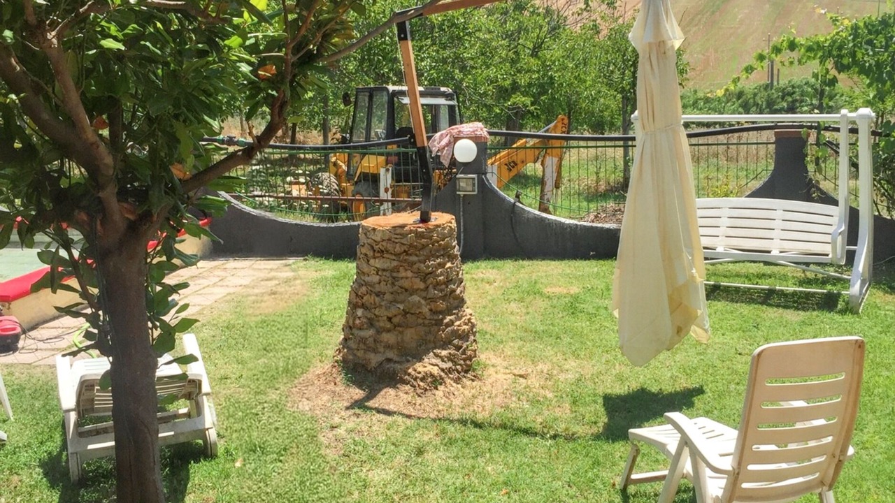 Photo of Outdoor in Montenero di Bisaccia