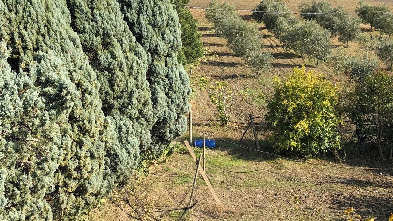 Photo of Others in Montenero di Bisaccia